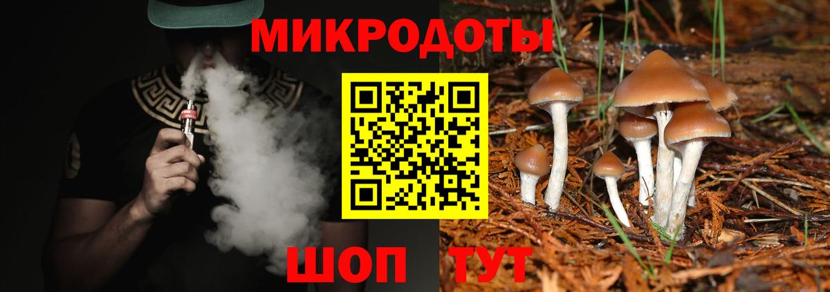 Псилоцибиновые грибы Psilocybine cubensis Ачинск